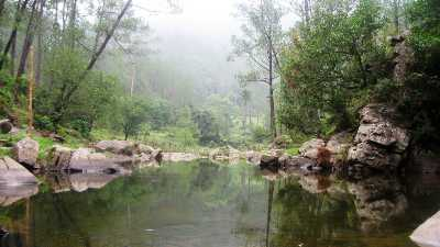 indiamagicaltri's tweet photo. Kangojodi, Nahan
Kangojodi is an offbeat destination nestled in the Himachal mountains lined with pine trees, surrounded by majestic hills and ravines.
#nahan #kangojodi #himachalpradesh #visitindia #incredibleindia #indiamagicaltrip https://t.co/1w3ttoOM4x