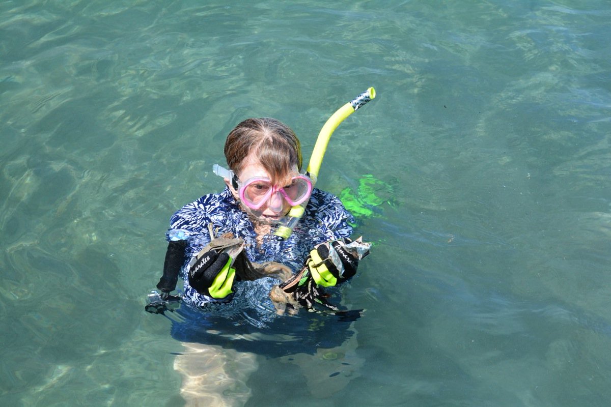SeaGrant's tweet photo. The #TrashTag challenge is inspiring people to clean trash from their communities. Let’s celebrate #WorldWaterDay by taking the Trash Tag Challenge to local waters & coasts! @MNSeaGrant & @SeaGrantPR led restoration efforts in Puerto Rico during #ASLO19 Photo: Efra Figueroa https://t.co/NBkcbetn1Q