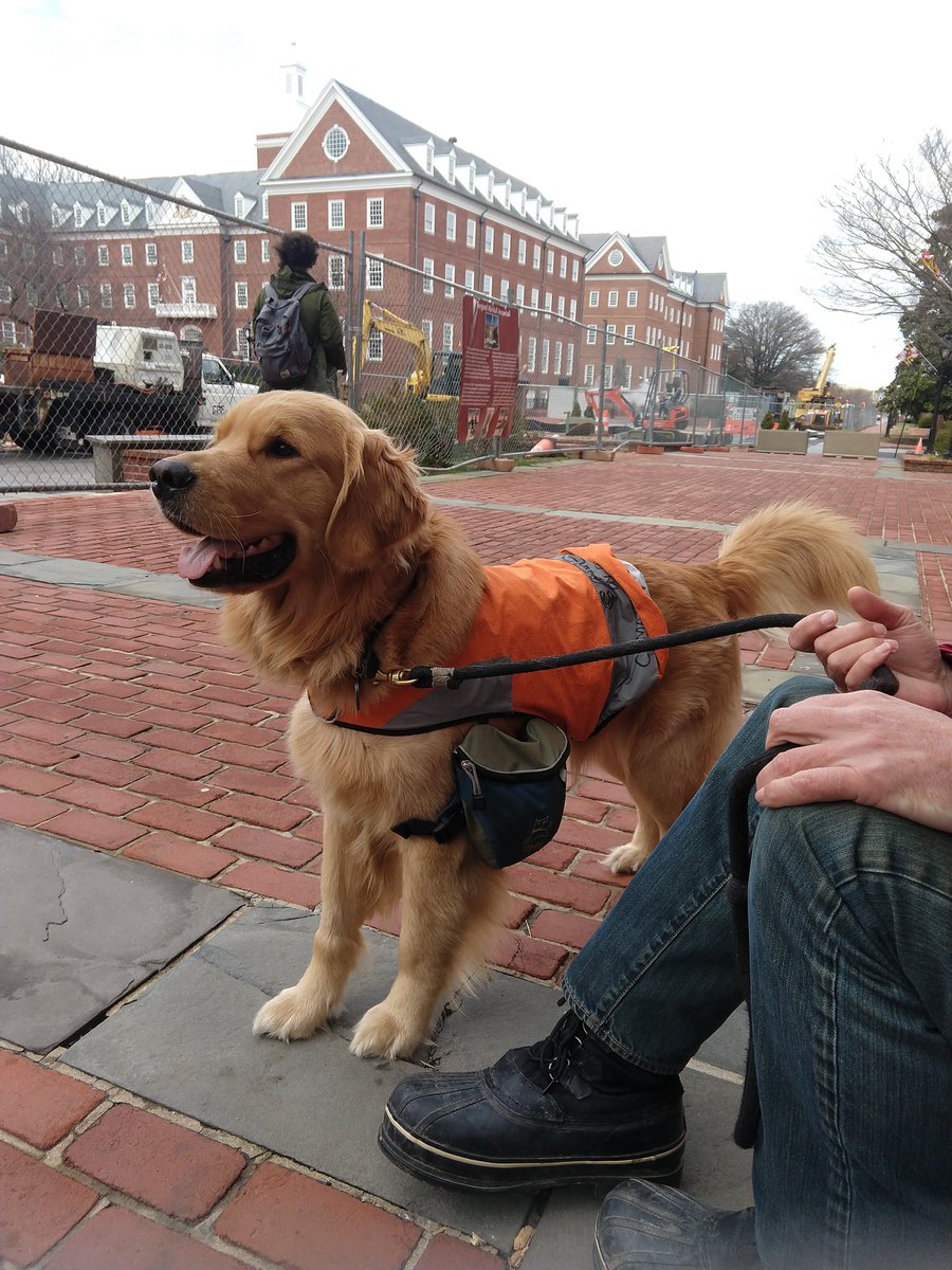 Osage_CATDog's tweet photo. #FridaysForFuture I'm so excited to be out with my humans! So many people to meet!  #furballsforfuture #climatestrike #FridaysForFurture #schoolstrike4climate #climatedog https://t.co/fMQ60cwryP