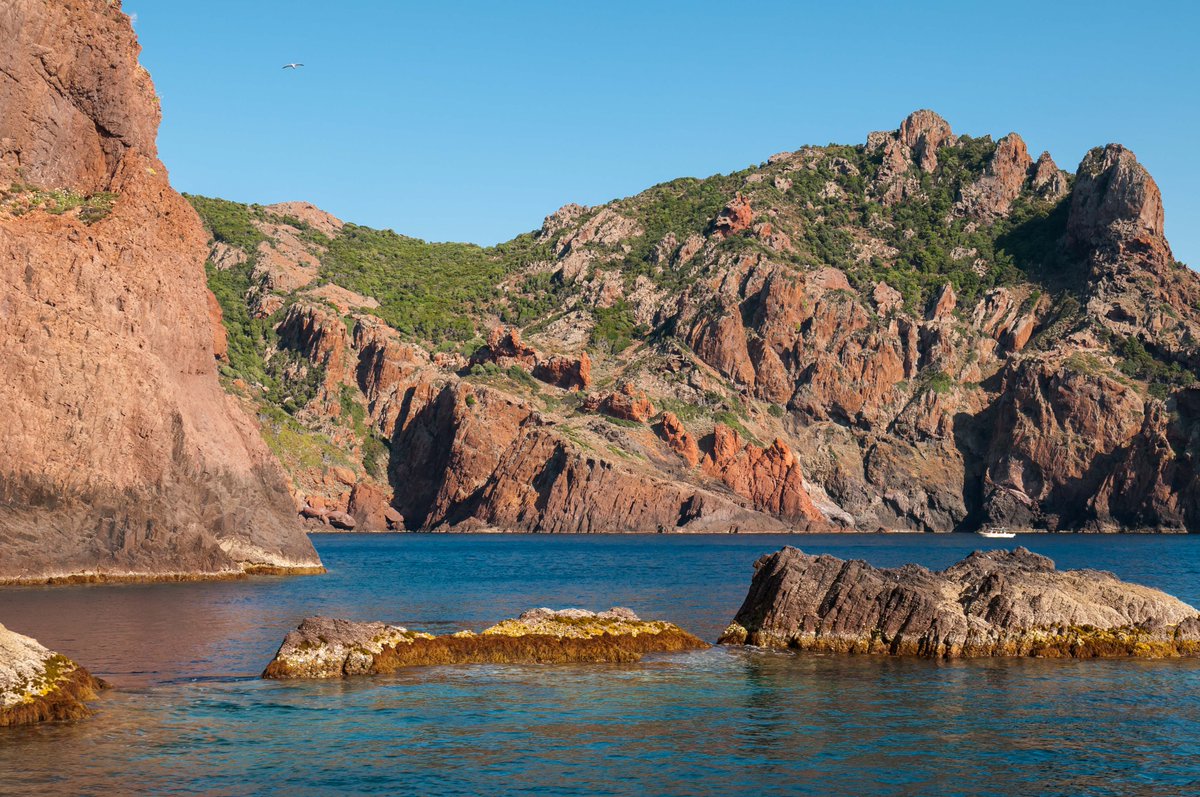 FigaroNautisme's tweet image. Des associations corses réclament des mesures pour protéger la réserve de #Scandola bit.ly/2Tvttlm #corse #environnement