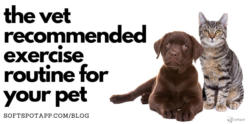 In our modern times, our pets have become less active  -- which can lead to health and behavioral problems. How much exercise does your pet need?
softspotapp.com/the-vet-recomm…

#dogs #pets #vets #cats #dog #cat #veterinary #petparents #petcare #petcareservices #petparent #petstyle