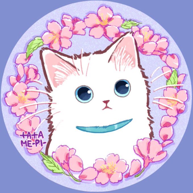 「花 白い猫」のTwitter画像/イラスト(新着)｜8ページ目