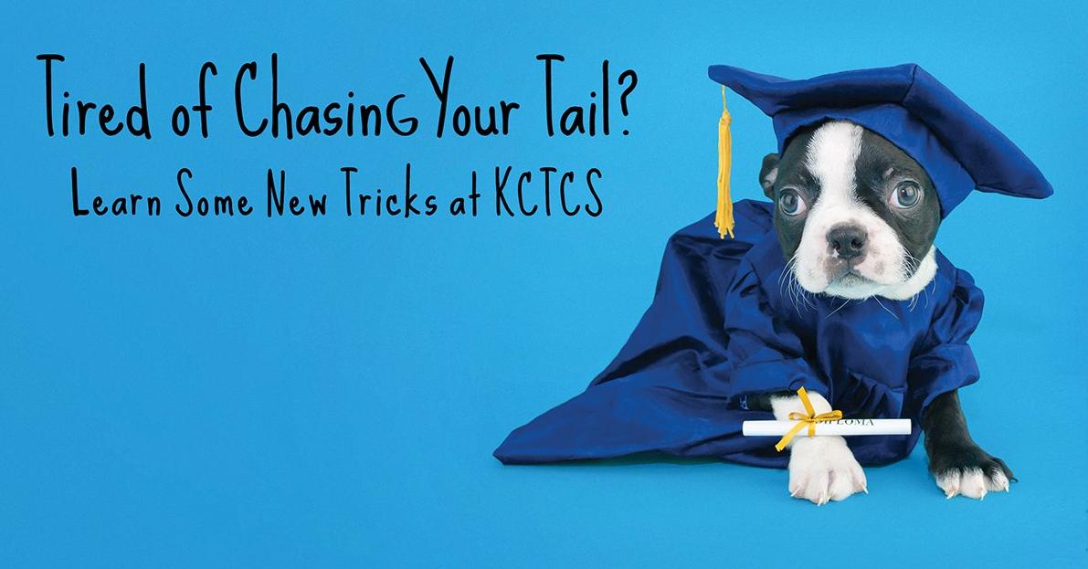 KCTCS's tweet photo. It's #NationalPuppyDay and we want to celebrate our 4-legged friends! Drop us a picture of your puppy, and lets spread some cuteness. #kctcsproud https://t.co/nTkSngcqkq