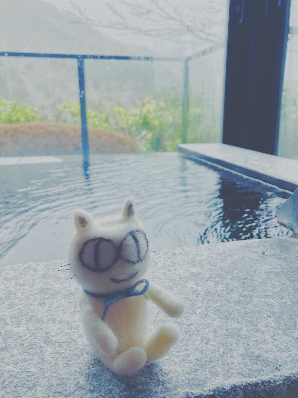 EASYCAT7's tweet photo. 箱根に来たら温泉♨️
景色もいいし楽しみだなぁ☻
#ネコ #ネコスタグラム #ねこ #ねこ好き #猫 #猫好きさんと繋がりたい #猫部 #cat #catstagram #easycat #イージーキャット #サンデーマート #鎌倉 #江の島 #kamakura #enoshima #箱根 #温泉 #イージーキャットの大冒険 https://t.co/Gzz2GED0da