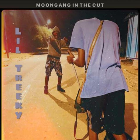 LilTreeky's tweet image. All we can do is elevate!