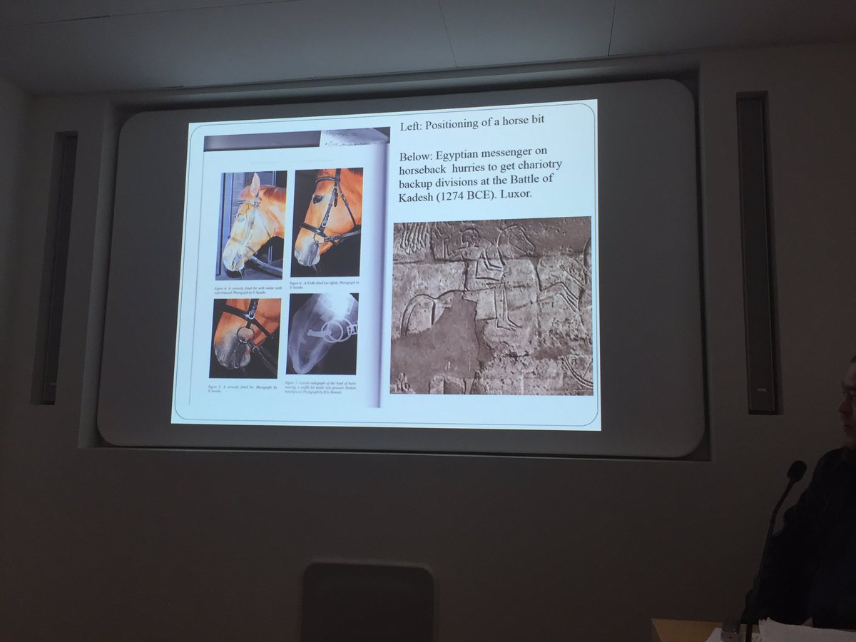 Something I’ve always wanted to know! How to train your chariot horse, by Dean Hallett <a href="/UCamArchaeology/">Cambridge Archaeology</a> #ancienthorse #aneAnimalEncounters #bitwear #ancientchariot #Hittite @MSCActions
