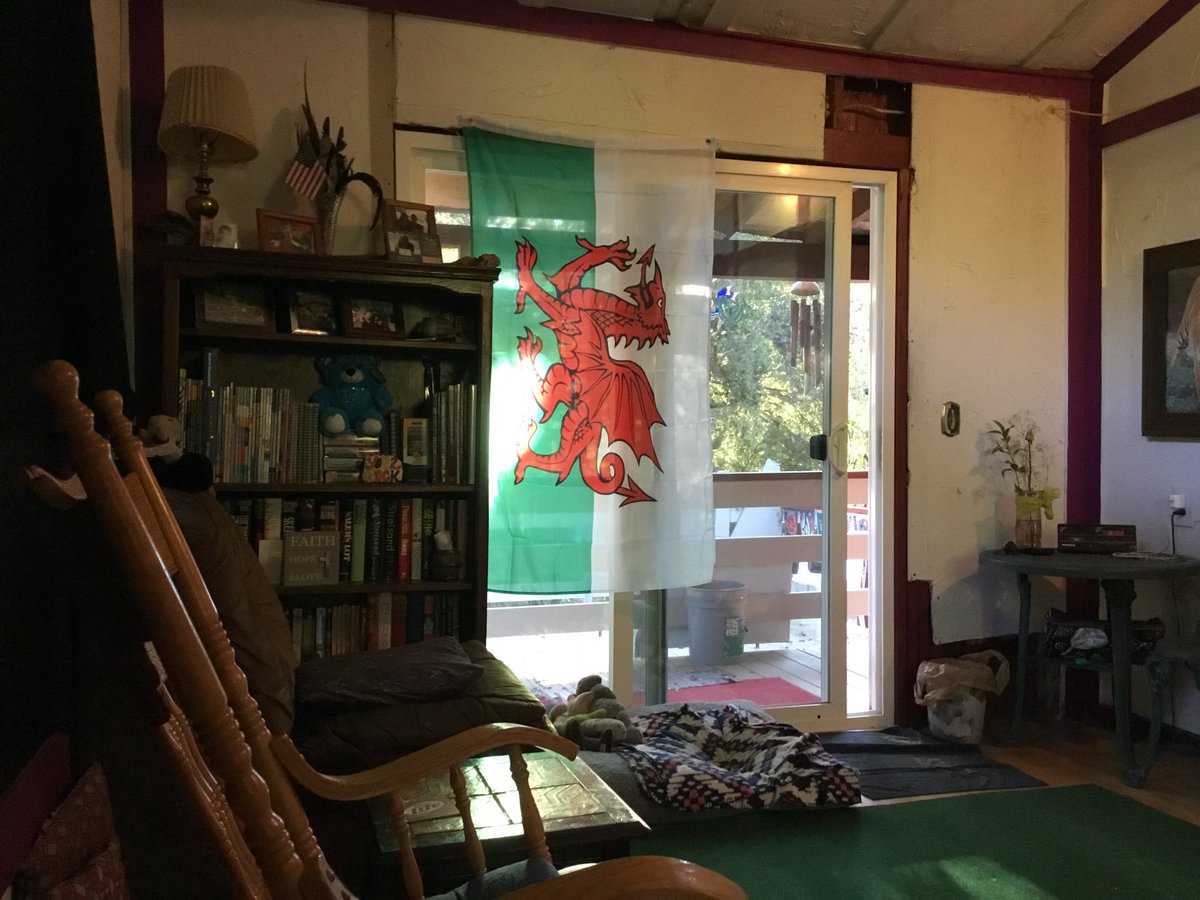 Beautiful morning in the canyon