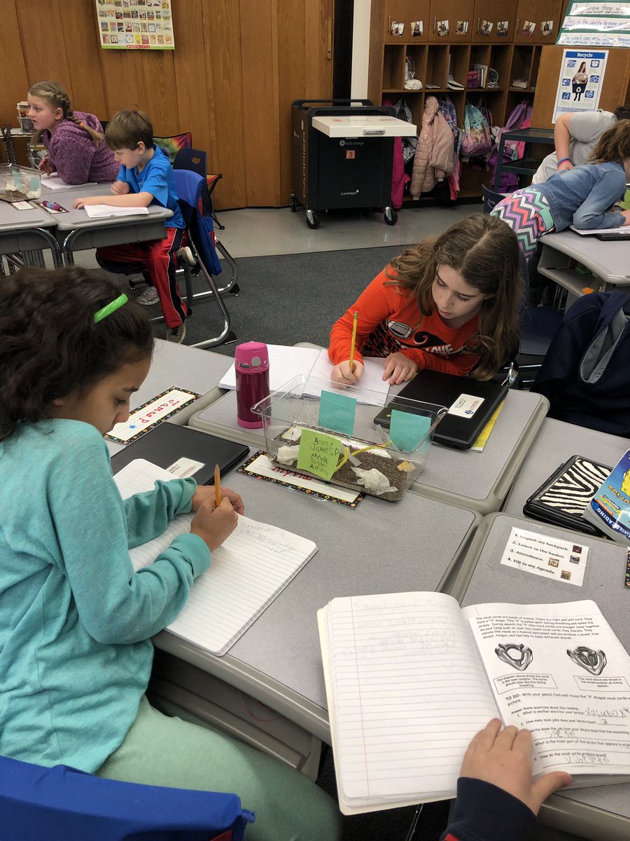 MrsDonardo's tweet photo. Observing our Roly Poly habitats #eefamily https://t.co/h6OMVnIxWd