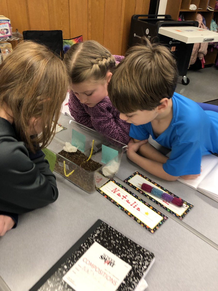 MrsDonardo's tweet photo. Observing our Roly Poly habitats #eefamily https://t.co/h6OMVnIxWd