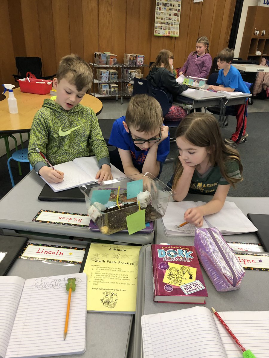 MrsDonardo's tweet photo. Observing our Roly Poly habitats #eefamily https://t.co/h6OMVnIxWd