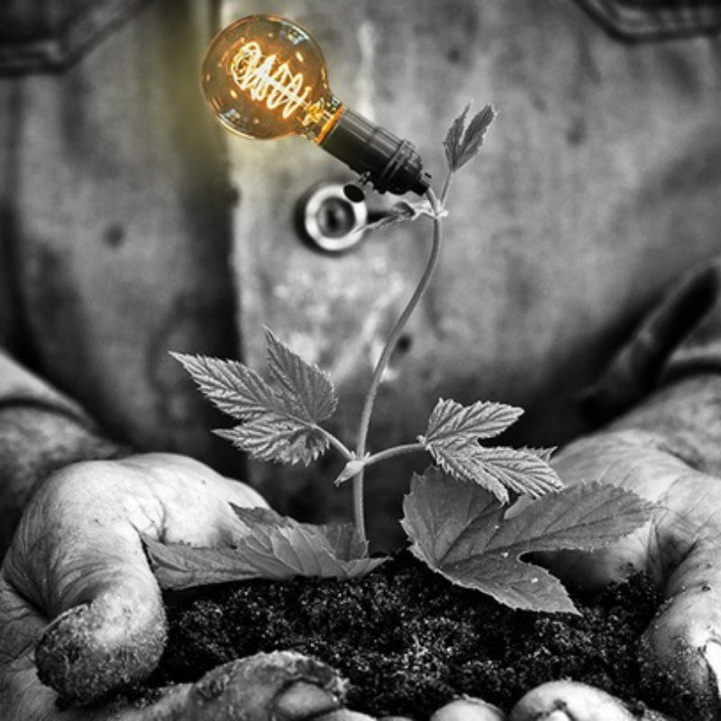 LaSalleMAD's tweet photo. La ciencia de la inspiración. ¿Sabes cómo funciona tu cerebro para que tengas buenas ideas? Este artículo en el que participan @slermalara y @jesusalcoba te lo explica. ¡No te lo pierdas! 
@elmundoes @IreneHVelasco @LaSalleSaludUAM 
https://t.co/Ms5oAwvDF9 https://t.co/lZAr3DU28k