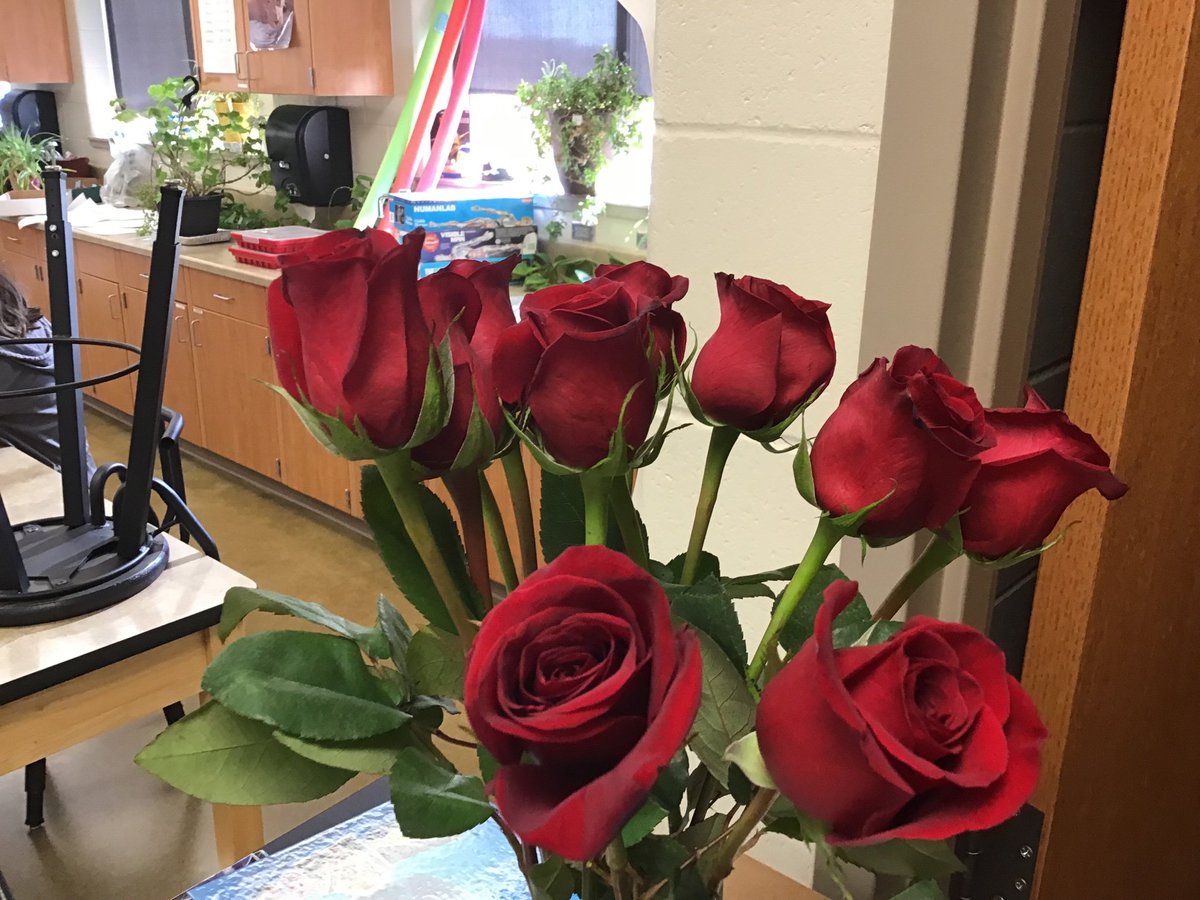 mrstschudy's tweet photo. Donuts, flowers, and a chorus of 59 students singing to me this morning!! I am so blessed to celebrate another year. Thanks #hsmstigers https://t.co/qBeV59rvWL