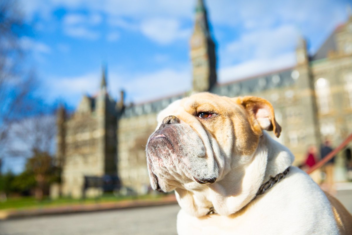 Georgetown University tweet media