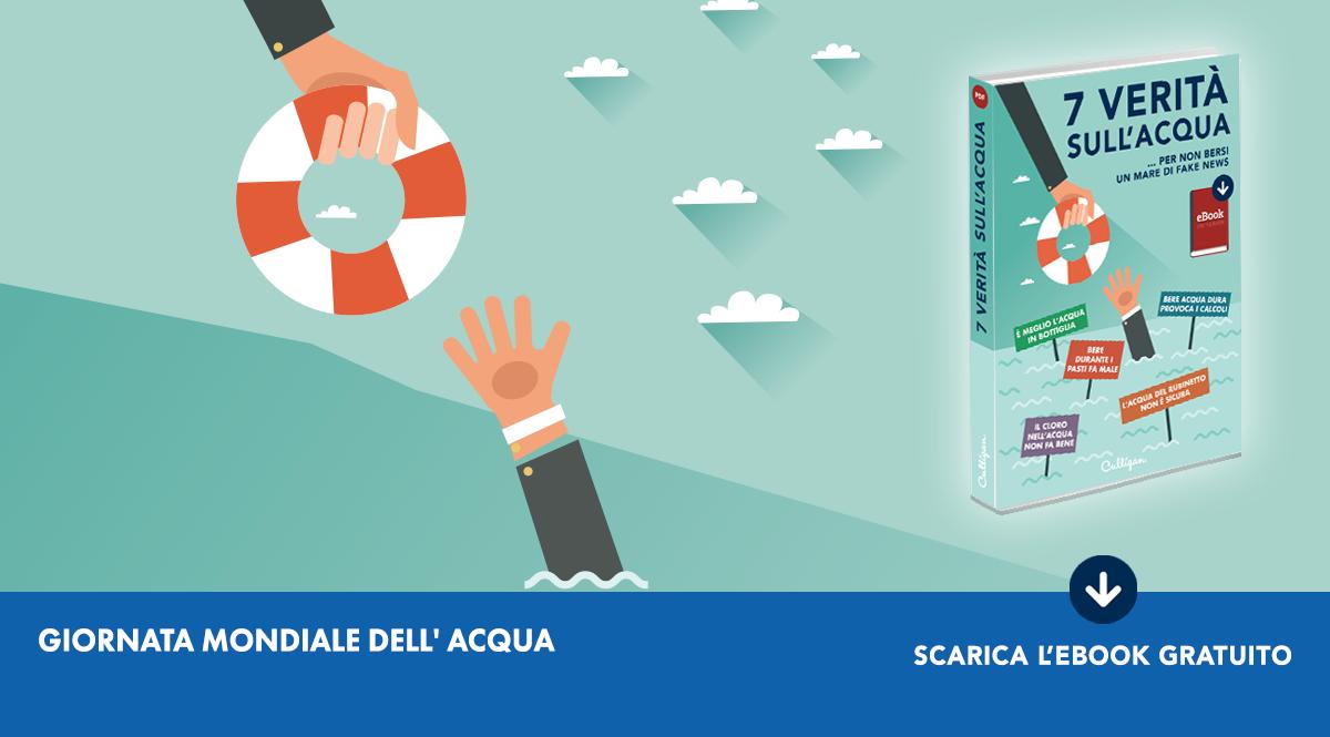 Oggi è il 🌍 #WorldWaterDay : celebriamo l'#ACQUA💧diffondendo le giuste informazioni. Come? Scoprite le #FakeNews più popolari sull'ebook di <a href="/Culligan_Italia/">Culligan Italia</a> scaricabile gratuitamente culligan.it/7-verita-sulla…