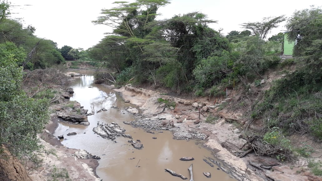 Shocking picture of the low level of #MaraRiver just in from #CitizenObserver Romulus, taken Tuesday March 19th. ICPAC predicts drought to worsen & unusually high temperatures @WRA_Kenya @MMaraUniversity @MeteoKenya @TAHMO_World @ihedelft @Upande @narokcountygovt @JacquieMcGlade