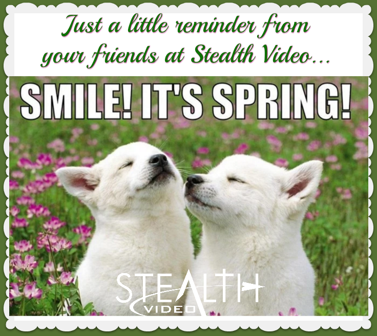stealthvideocom's tweet photo. Happy Friday and Happy Spring! Have a wonderful weekend too! 😀🐦🌷🦋
#StealthVideo #CCTV #SecurityCameras #Springtime2019 https://t.co/1Wj8pNutkc
