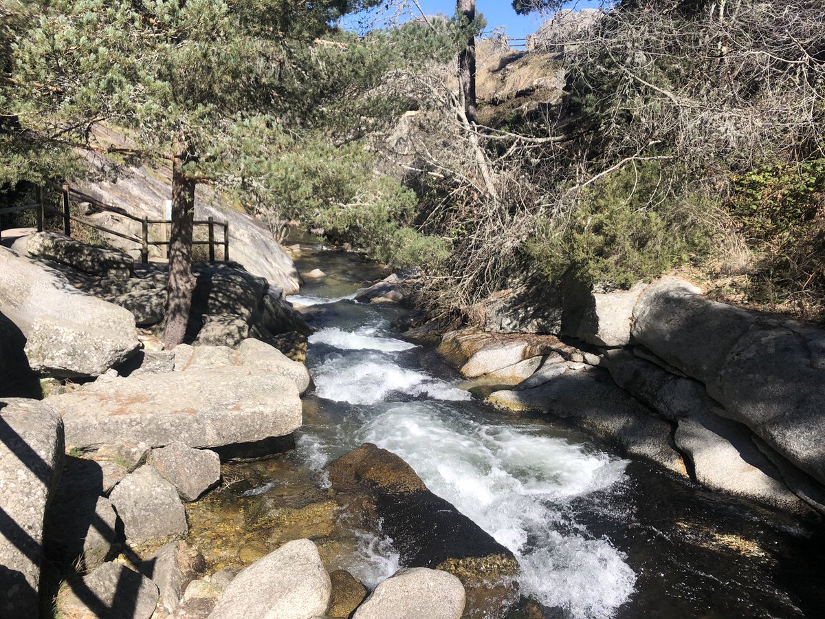 liquidworkspro's tweet photo. Nosotros celebramos el #DiaInternacionaldelosBosques y el #DiaMundialdelAgua rodando en la naturaleza
#Valsaín #Segovia #liquidworks https://t.co/Ne55Z2itZ4