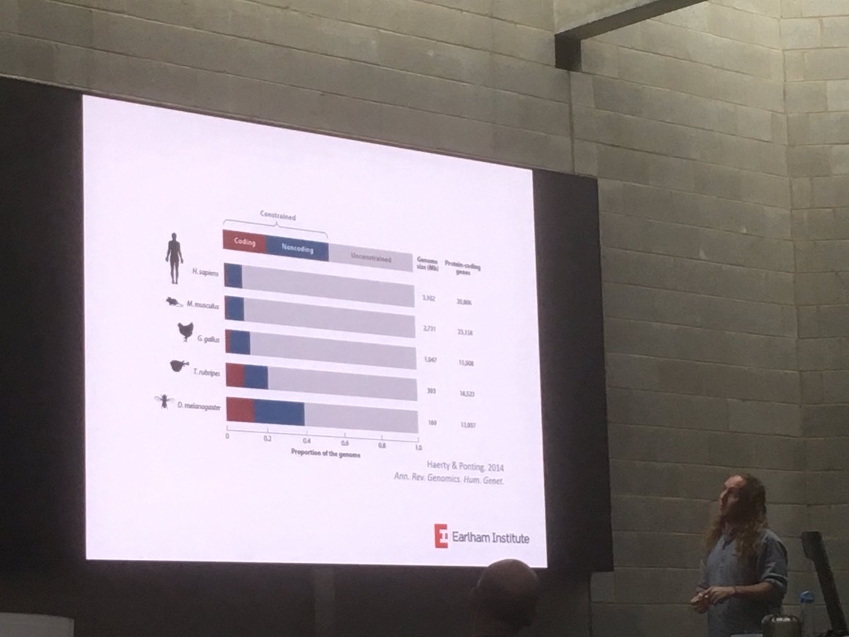 Dr Kris Sales tweet media