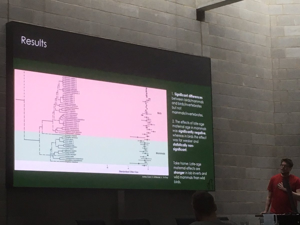 Dr Kris Sales tweet media