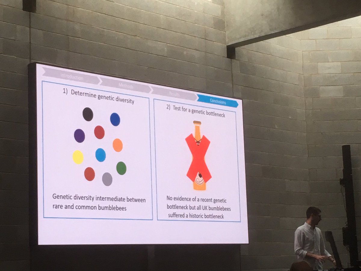 Dr Kris Sales tweet media