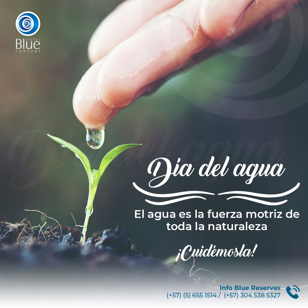 HotelBlueC's tweet photo. 💦 Hoy,  es el #DíaMundialdelAgua y en el Hotel Blue te invitamos a que tomes conciencia, ya que de nosotros depende que podamos obtener este recurso por mucho tiempo. ¡Cuidémosla! #Diadelagua 💦 https://t.co/Dh0QVB8lNi