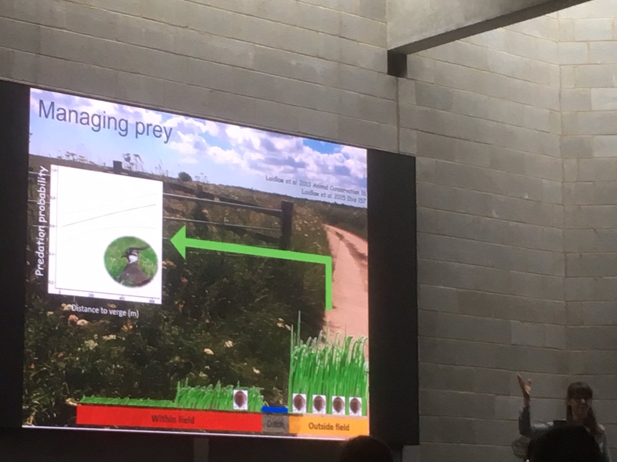 Dr Kris Sales tweet media