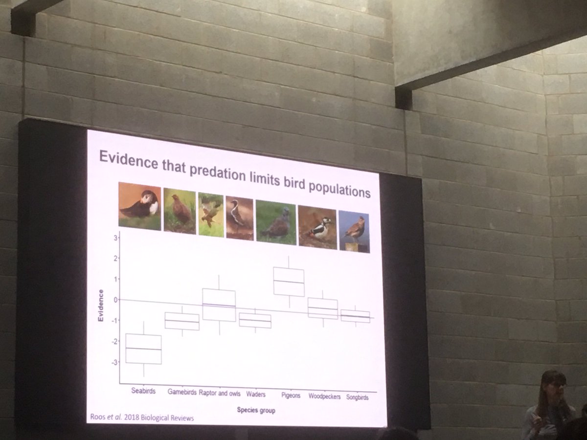 Dr Kris Sales tweet media