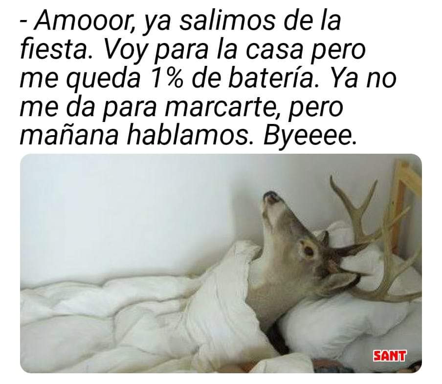 manu sanchez lopez tweet media