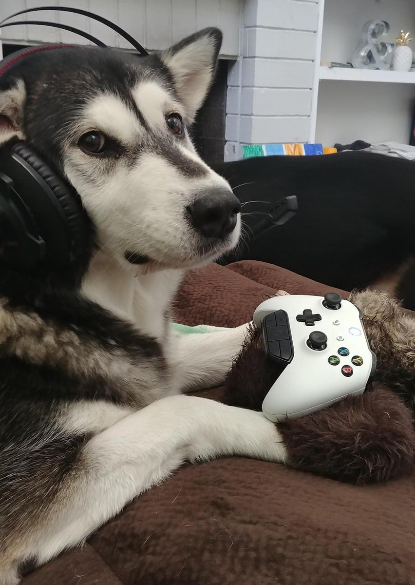 Happy #NationalPuppyDay from TeeBlox, we love gamer puppies 🐕