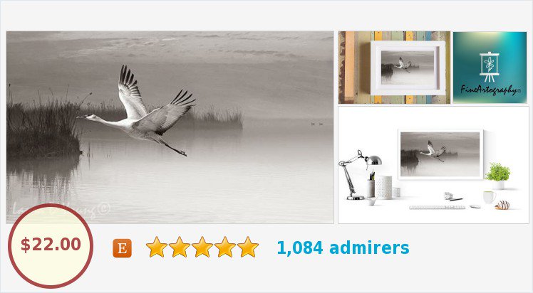 Sandhill Crane by FineArtography on Etsy. #Etsy #EpicOnEtsy #SandhillCrane #Photography #Handmade #GiftIdeas #Wildlife #Birds #Shorebirds #BirdPhotography #WallArt #Etsymntt #EtsyGifts #EtsyShop ##Etsyspecialt #CottageArt #blackandwhitephotography etsy.com/FineArtography…