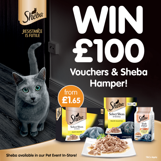 🐱#COMPETITION TIME🐱

We're starting a brand NEW competition today-with a massive £100 worth of B&amp;M Vouchers PLUS a <a href="/ShebaBrand/">SHEBA® Brand</a> hamper to be #WON!

For your chance to #WIN, simply FOLLOW us, RT &amp; COMMENT what the "LAST" thing you bought in B&amp;M was!

Competition ends 9am 26/3/19