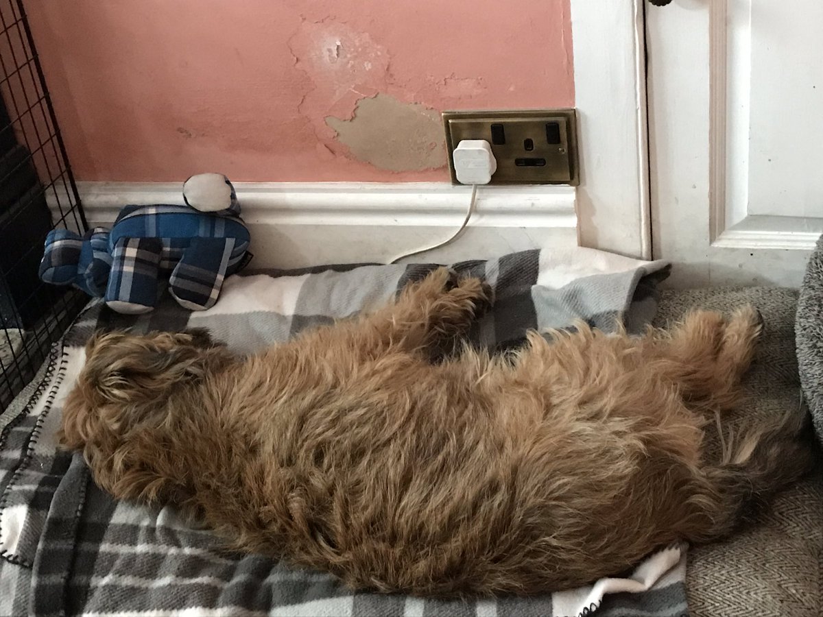 mac_brooke4's tweet photo. Update:had to be removed from chair as started nodding off while still on lookout, woz swaying a bit 😴😬 https://t.co/3fdvApCaB6