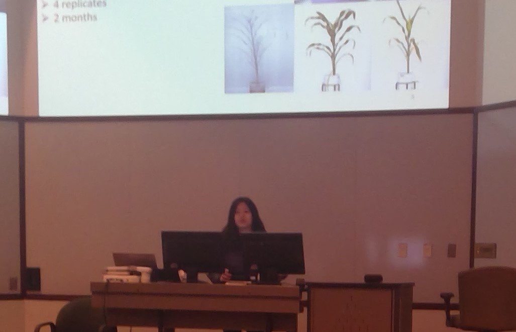 UNL_PSI's tweet photo. Great talks yesterday by Kasia Glowacka and Schachtman lab postdoc Peng Wang and grad student Yen Ning Chai at March PSI Research Group Meeting. @dschachtman @unlagrohort @UNL_Biochem @CropsUNL @peng_wang2015 @NE_CRRI https://t.co/RZPCkJ8Ku0