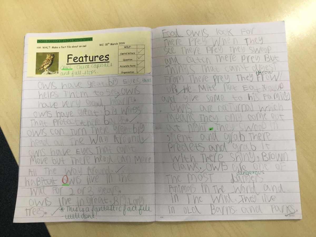 Just one of our fantastic fact files from year 1 #nonfictionwriting #LWQM