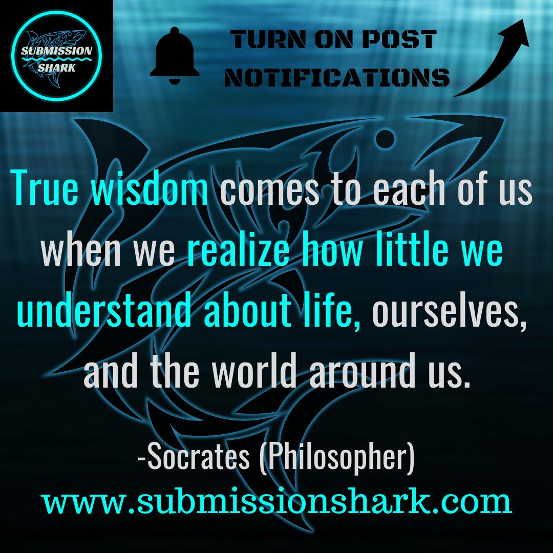 SharkSubmission's tweet photo. Retweet If You Agree! https://t.co/sADuBuoolP