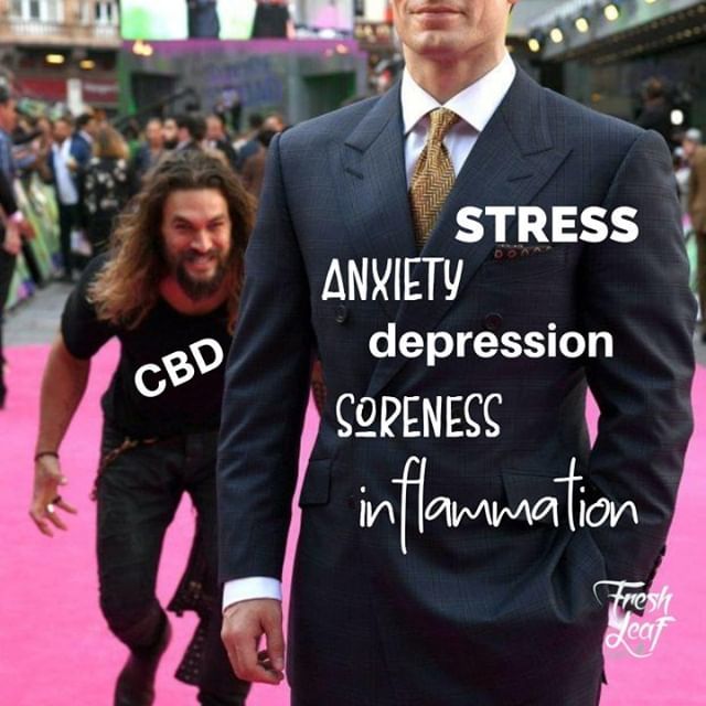 freshleaf_cbd's tweet photo. The #CBD blitz attack. https://t.co/jhGKfXIC5I
#cbd #cbdvape #cbdgummies #cbdflowers #cbdisolate #cbdheals #cbdcures #cbdmovement #cbdhealth #cbdfordogs #cbdforpets #cannabisculture #cbdbenefits #cbdoils #cbddream #cbdbeauty #cbdskincare #cbdvapepen #c… https://t.co/TprgglRBWT https://t.co/VdEwDgq09z