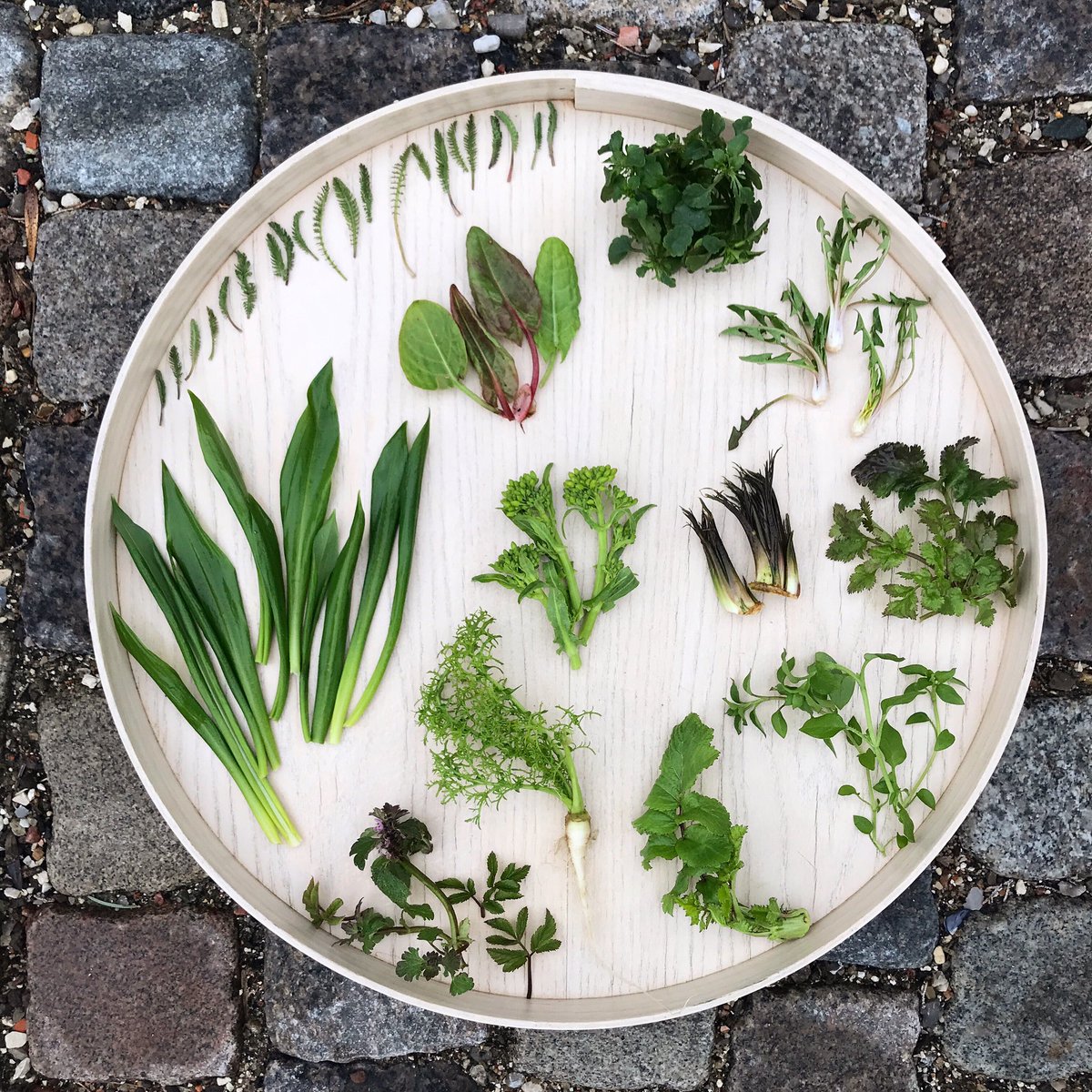 you might look at this and see a few herbs, but to us this is a sign that the GODDAMN 6-month-long winter is ending. This is everything that’s sprouting out of the barren landscape atm (they are also delicious, with flavors ranging from toasted hazelnuts to garlic &amp; fresh corn)