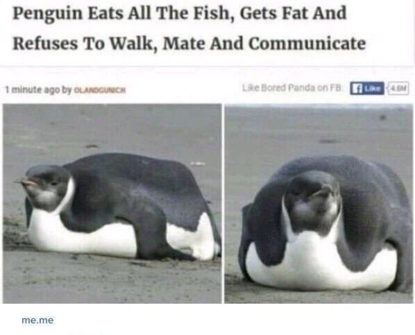 callum_c_b's tweet photo. Reddit has seen my future https://t.co/lTlFdKuaQf