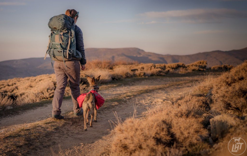 All the Dog Backpacking Gear You Need longhaultrekkers.com/dog-backpackin…