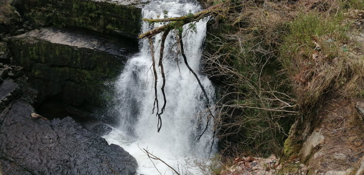 smoggiewalks's tweet photo. Waterfalls walk #getoutside #breconbeacons #geocaching #WHWtraining @DerekTheWeather @OrdnanceSurvey @LiveGeocaching @BeaconsPhotos https://t.co/FIYltPuClv