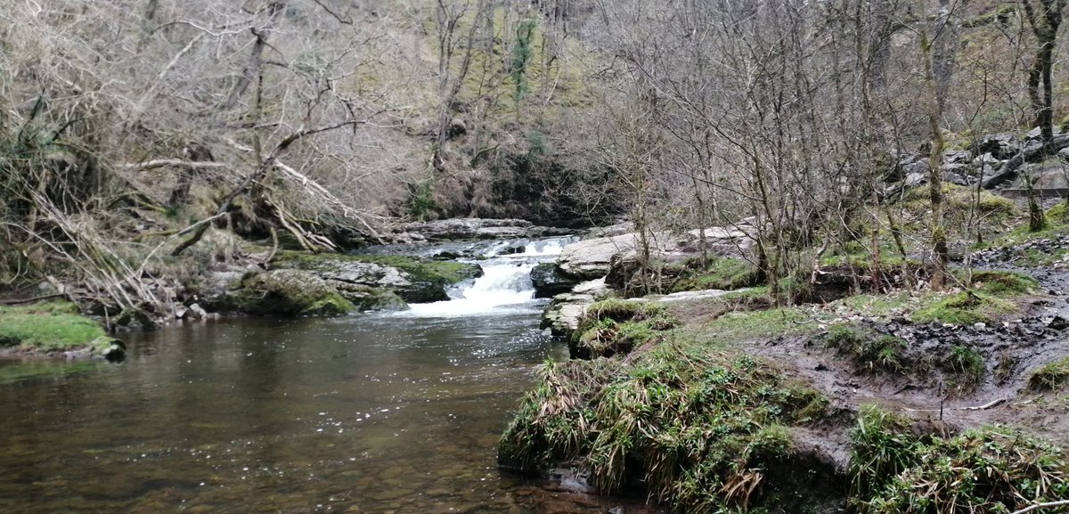 smoggiewalks's tweet photo. Waterfalls walk #getoutside #breconbeacons #geocaching #WHWtraining @DerekTheWeather @OrdnanceSurvey @LiveGeocaching @BeaconsPhotos https://t.co/FIYltPuClv