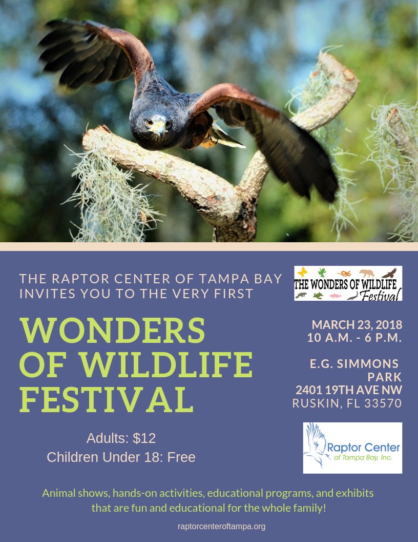 TGIF! What are your plans for the weekend? Stop by the Wonders of Wildlife Festival tomorrow for a close up encounter with some of Florida’s most amazing animals! 🦜🦝🦋🐍 #tampa #wildlife #tgif #weekend #nonprofit