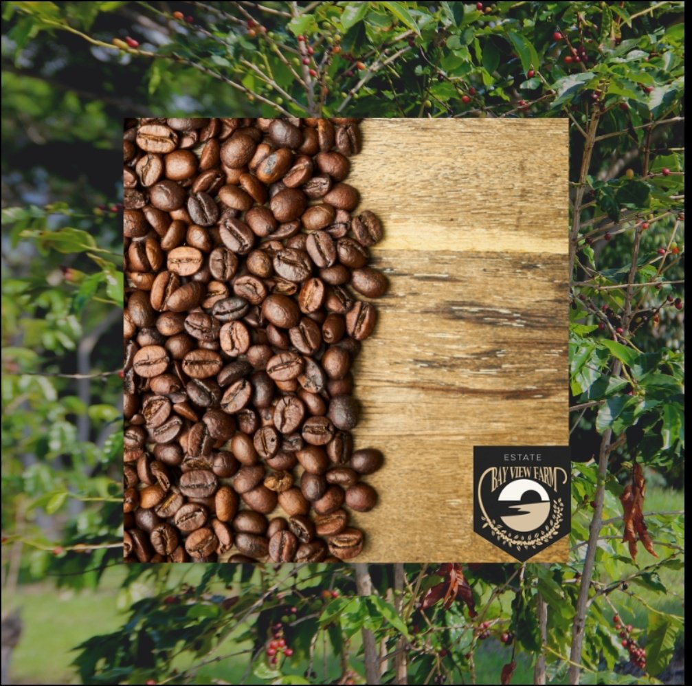 BayViewCoffee's tweet photo. If you're having a #badday, #coffee ☕ fixes it.

If you're #tired 😴, coffee fixes it.

If you're #bored 😯, coffee fixes it.

For everything there is coffee to fix 🔑 it.

Have a nice #weekend. https://t.co/QmhOIe5nwx