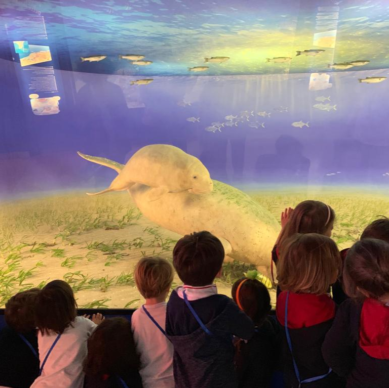 ICS International School Milan tweet media