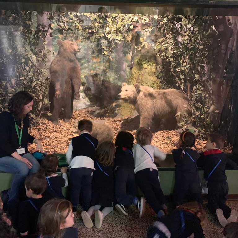 ICS International School Milan tweet media