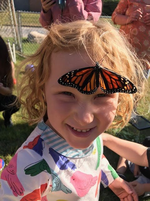 BSD_EarlyEd's tweet photo. Where did spring go?  We miss the sunshine!  (Throwback to the beginning of the school year)  #bsdvt #btv #earlyed https://t.co/HCrLjz8ogi