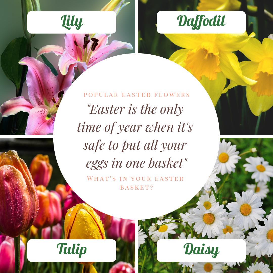 simiconroys's tweet image. Easter is right around the corner! What's your favorite Easter flower? Let us know in the comments below!

simiflowersandgifts.com