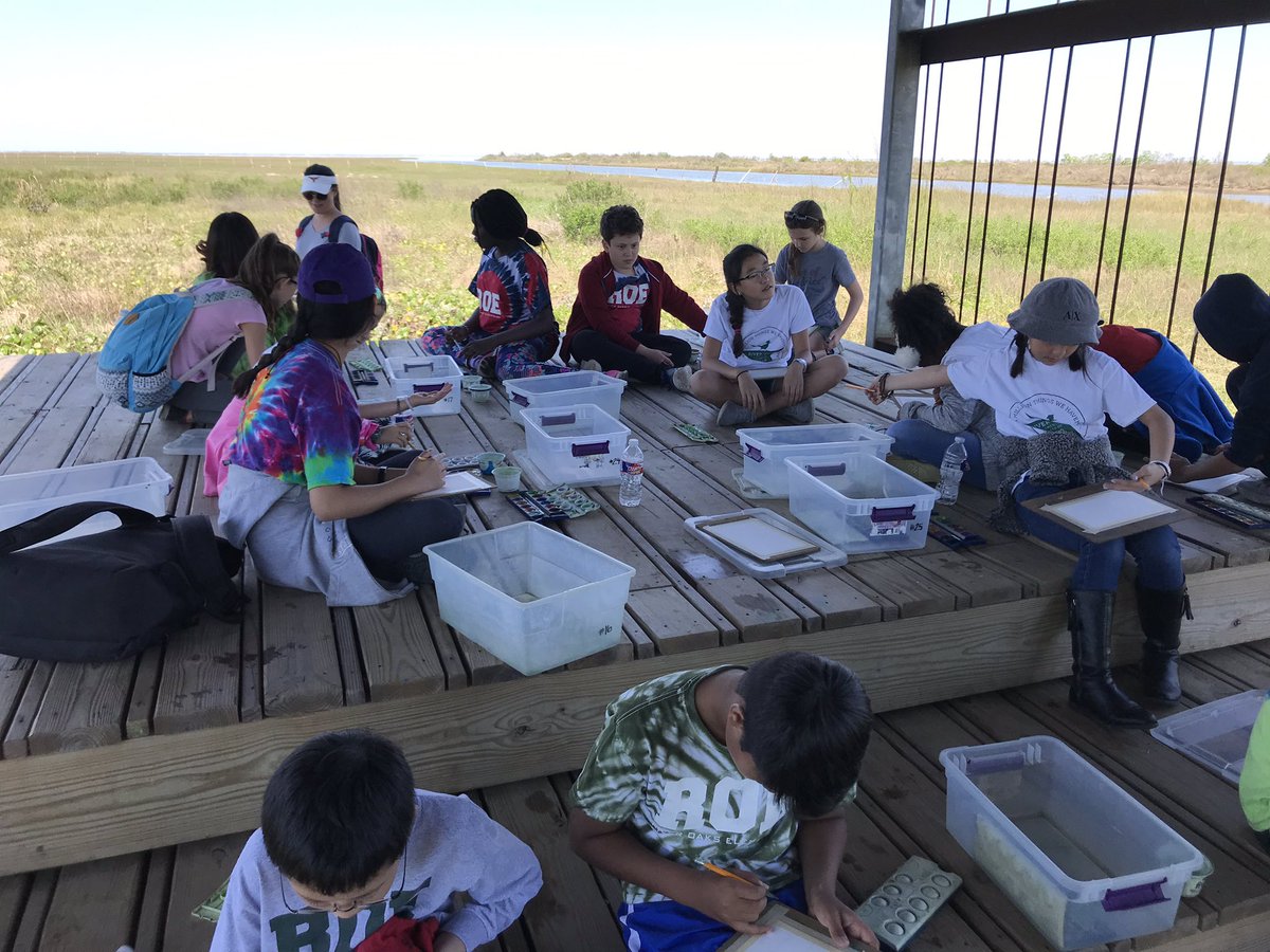 5thatROE's tweet photo. Beautiful day exploring and painting the ecosystem in Galveston #ecosystem #naturelovers @artistboat @ROEworld @HoustonISD https://t.co/tLUj0NOJpv
