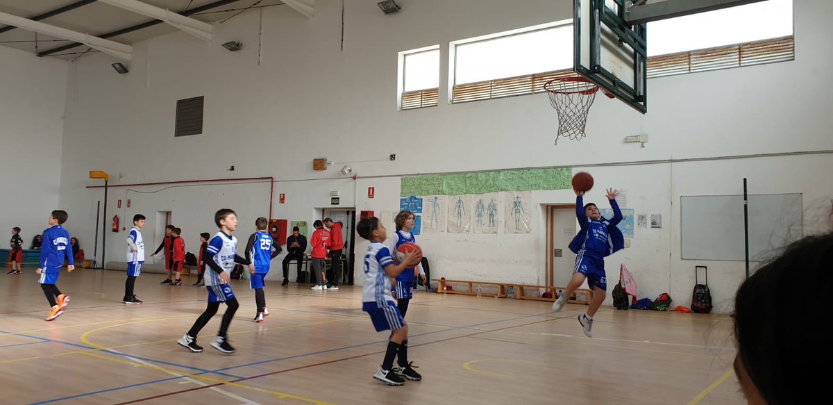 CBMarbella1's tweet photo. 📸 #PreminiMasc08 en @cb_platero en su jornada @FAB_Malaga. #CanteraCBM #CBMarbella https://t.co/cI3tRZLgwS