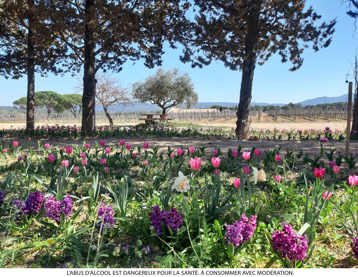 C'est le #printemps au Château Cavalier, au coeur de la Provence des terres !
